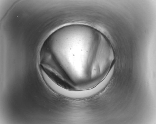 X0000088741520200706212047