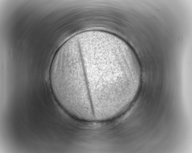 X0000088741521200706212048