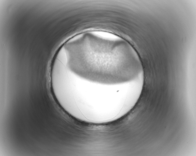 X0000088741522200706212048