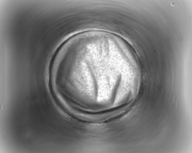 X0000088741523200706212048