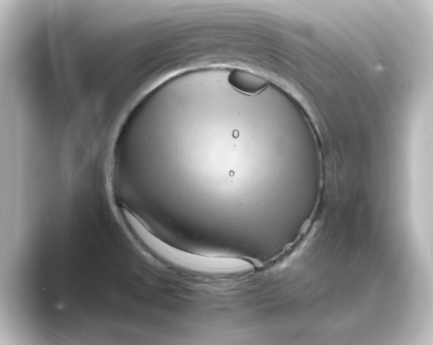 X0000088741525200706212048