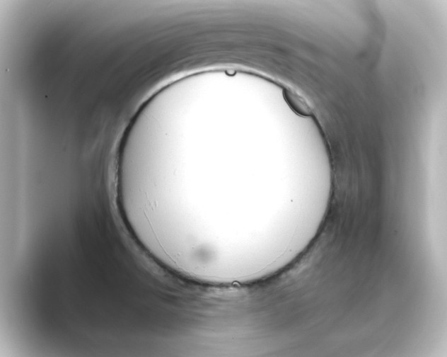 X0000088741526200706212048