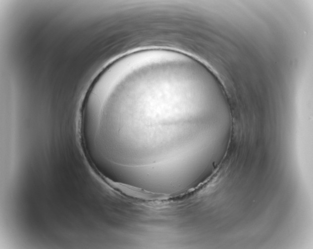 X0000088741527200706212048