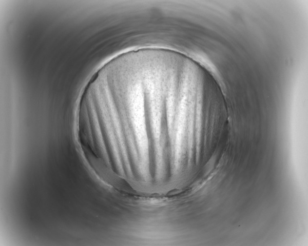 X0000088741528200706212048