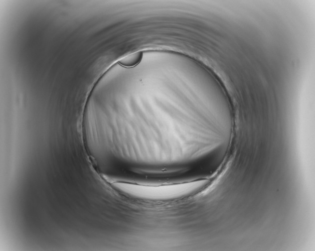 X0000088741529200706212048