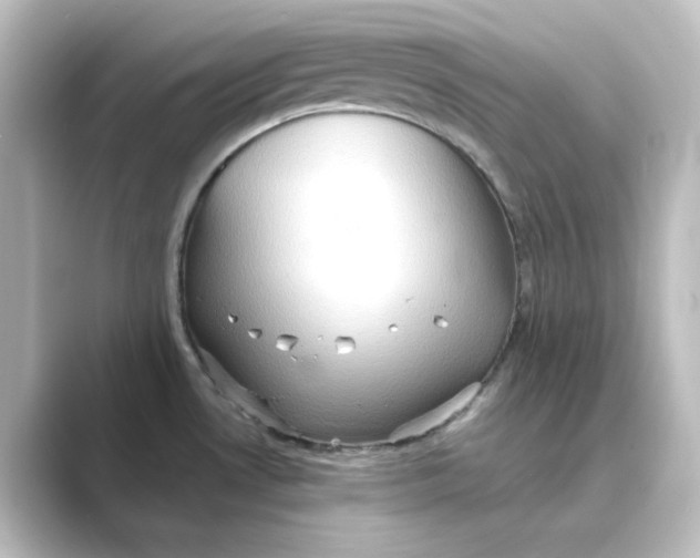 X0000088741530200706212048