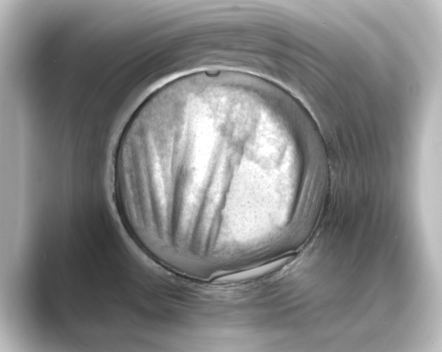 X0000088741531200706212048