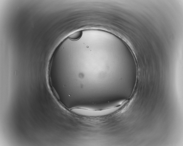 X0000088741533200706212048