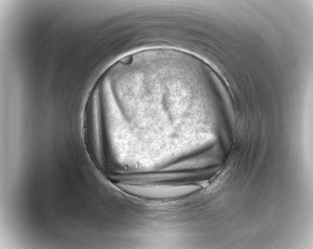 X0000088741535200706212048