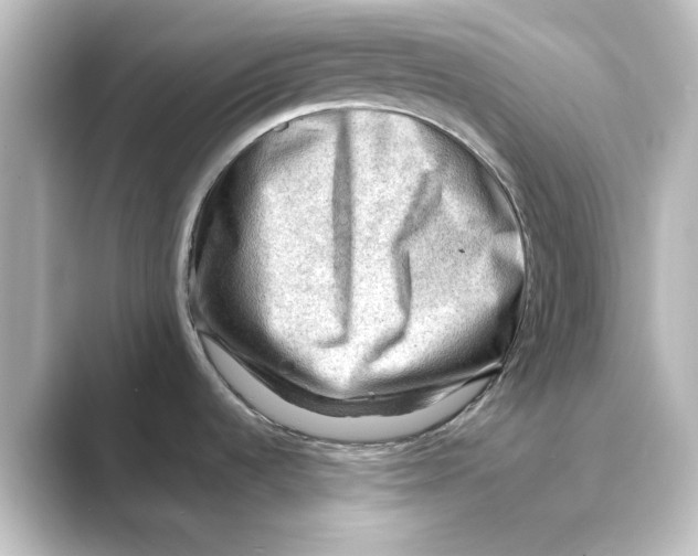 X0000088741536200706212048