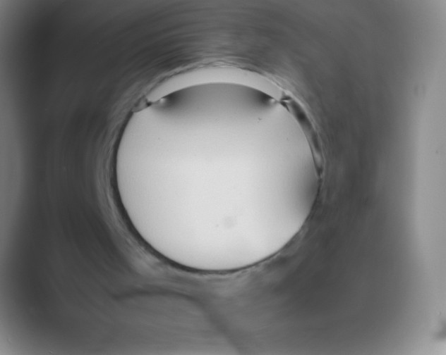 X0000088740001200706282154