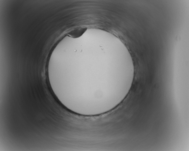 X0000088740002200706282154