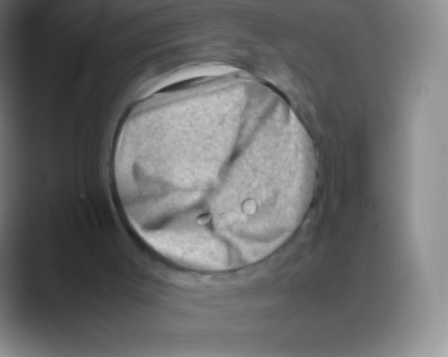 X0000088740003200706282154