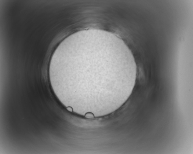 X0000088740004200706282154