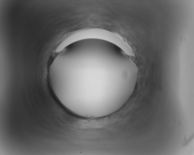 X0000088740005200706282154