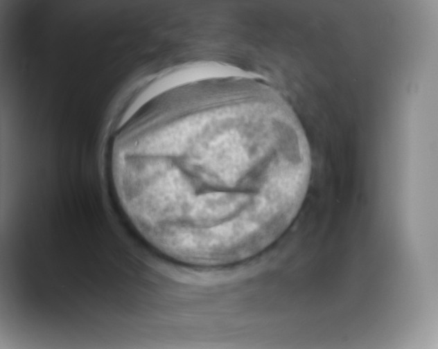 X0000088740006200706282154
