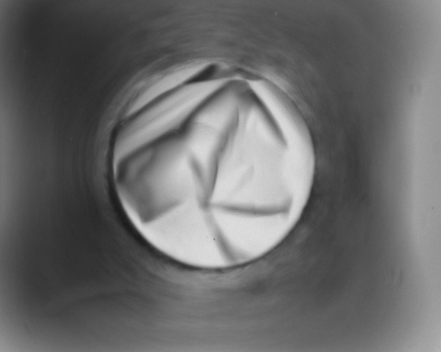 X0000088740007200706282154