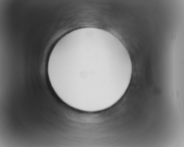 X0000088740008200706282154