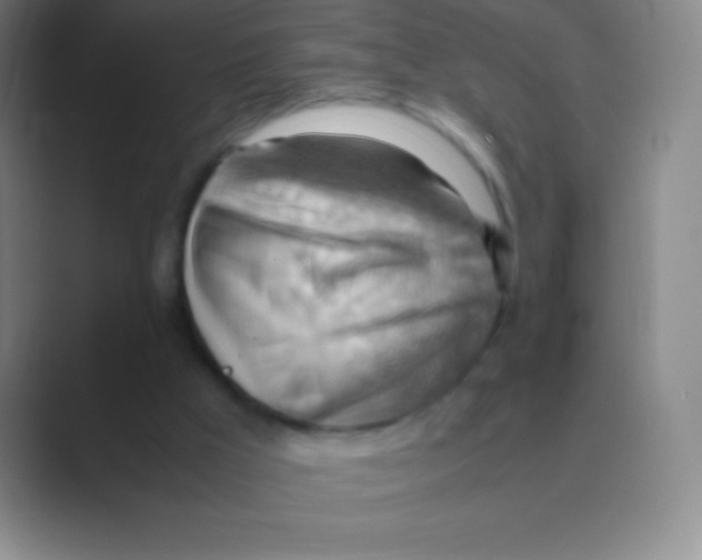 X0000088740009200706282154