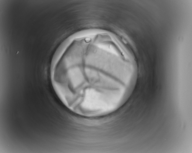X0000088740010200706282154