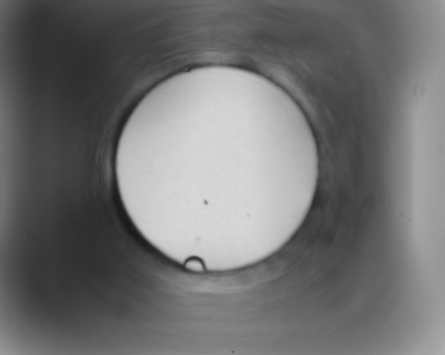 X0000088740011200706282153