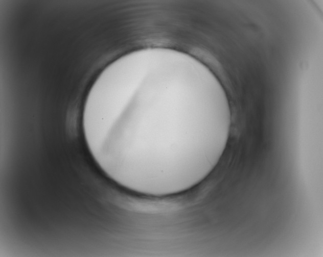 X0000088740012200706282153