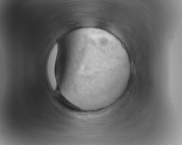 X0000088740013200706282153