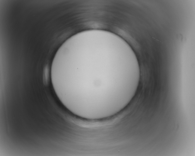 X0000088740014200706282153