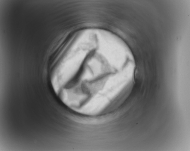 X0000088740015200706282153
