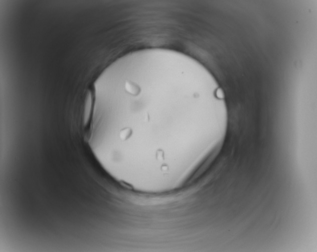 X0000088740018200706282153
