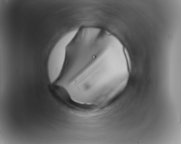 X0000088740019200706282153