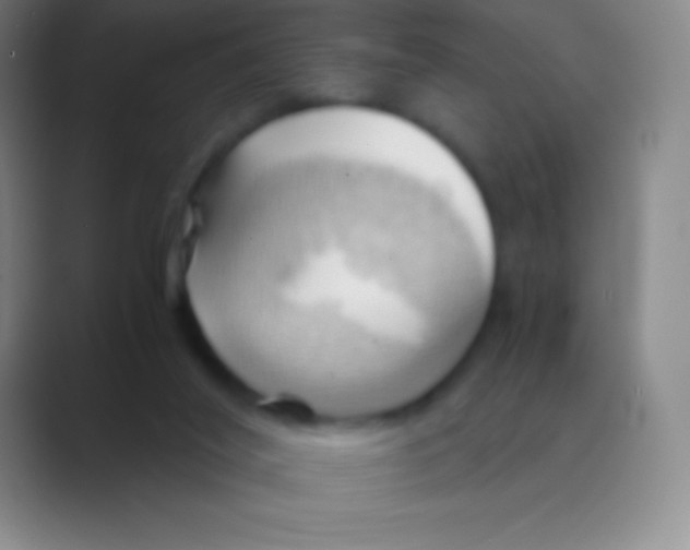 X0000088740020200706282153