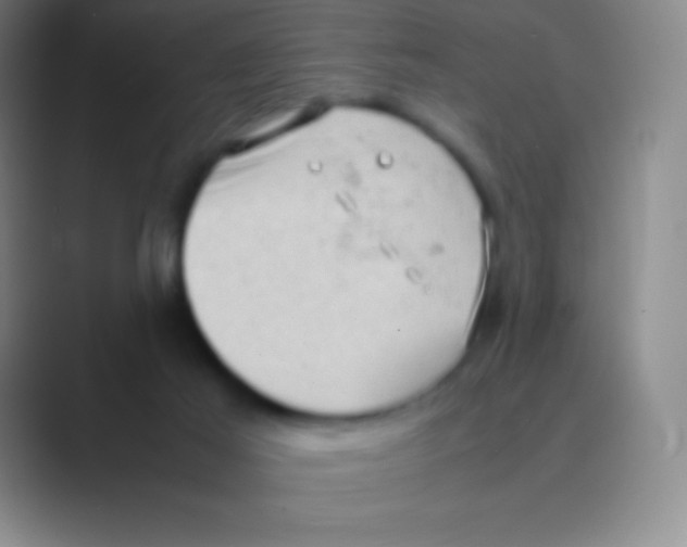 X0000088740021200706282153