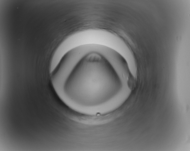 X0000088740023200706282153