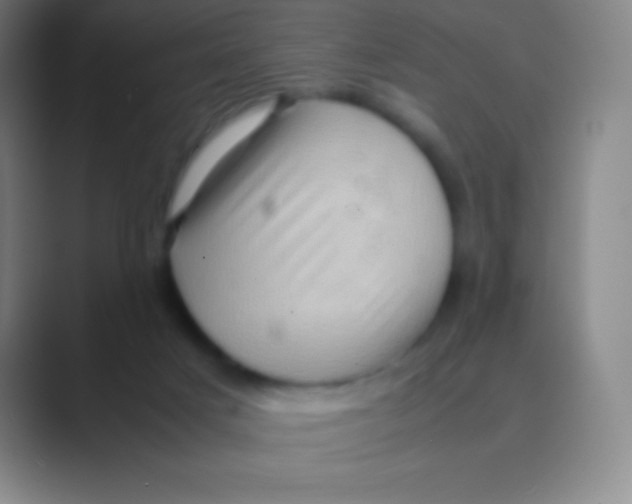 X0000088740025200706282153