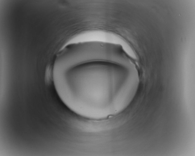 X0000088740027200706282153
