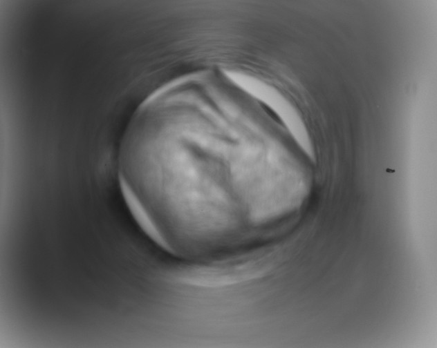 X0000088740029200706282153