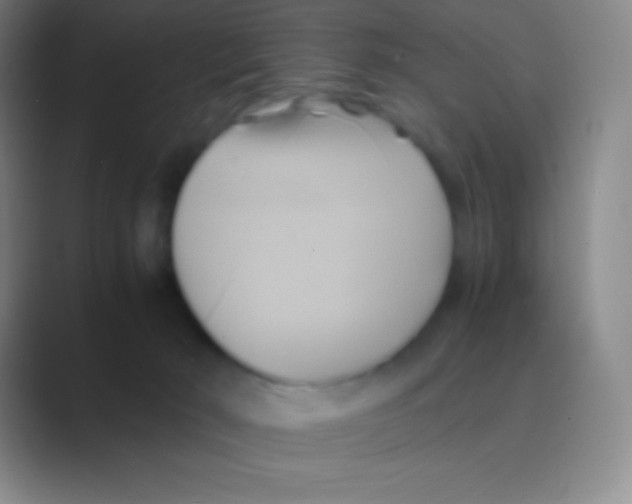 X0000088740030200706282153