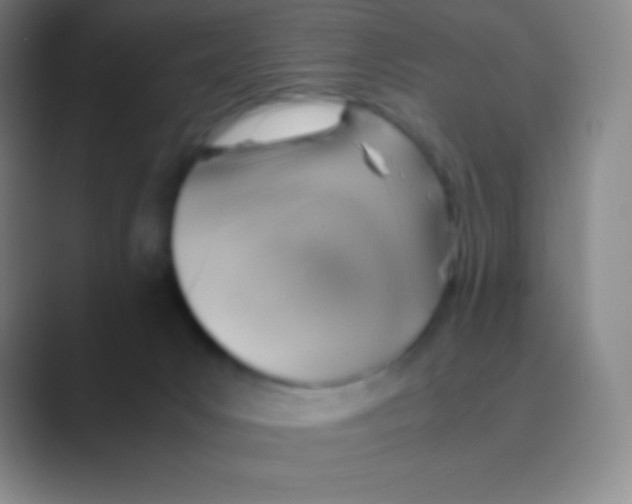 X0000088740031200706282153