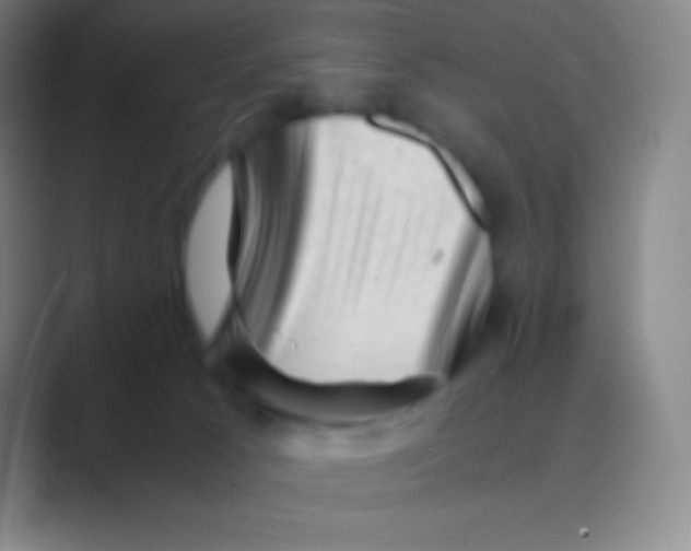 X0000088740033200706282153