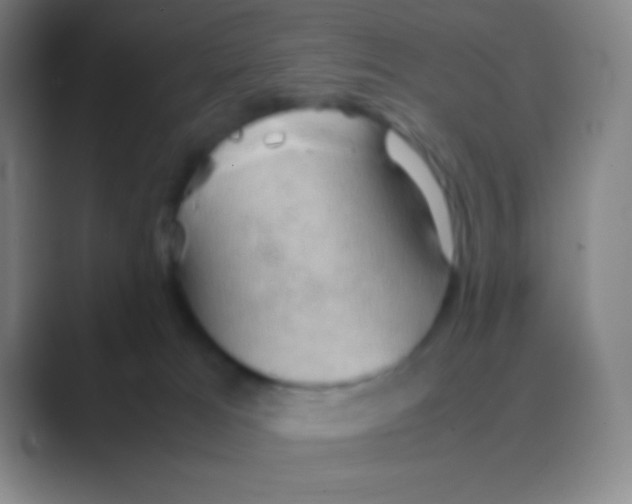 X0000088740037200706282153