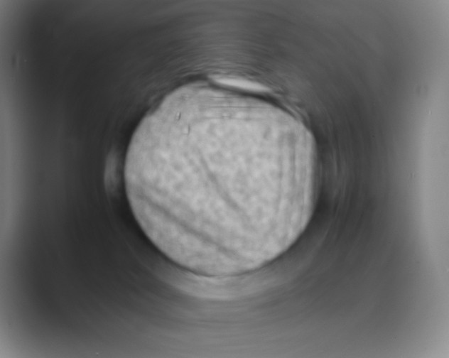 X0000088740038200706282153