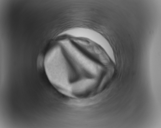 X0000088740041200706282153