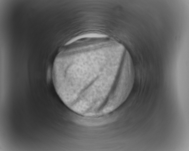 X0000088740042200706282153