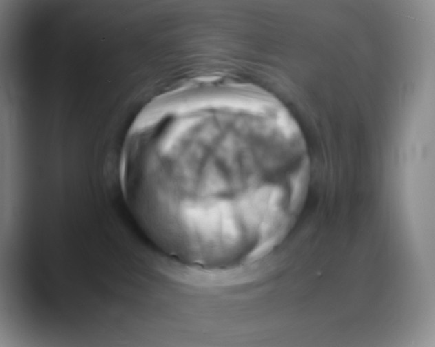 X0000088740043200706282153