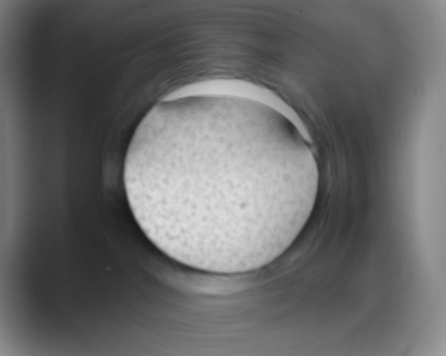 X0000088740044200706282153