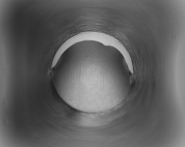 X0000088740045200706282153