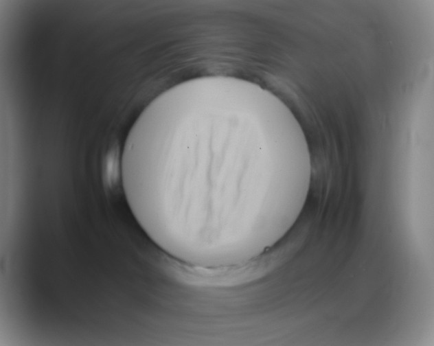 X0000088740046200706282153