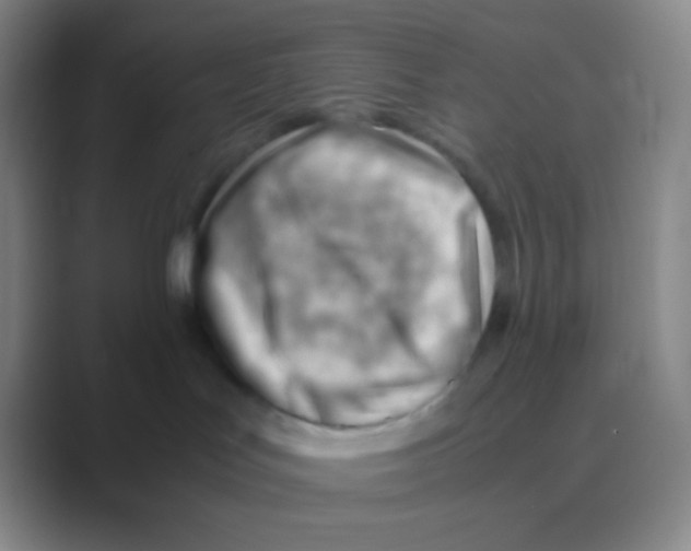 X0000088740047200706282153