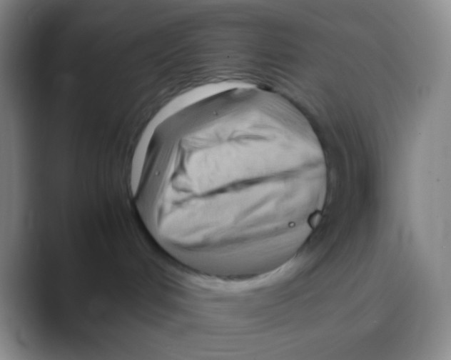X0000088740048200706282153